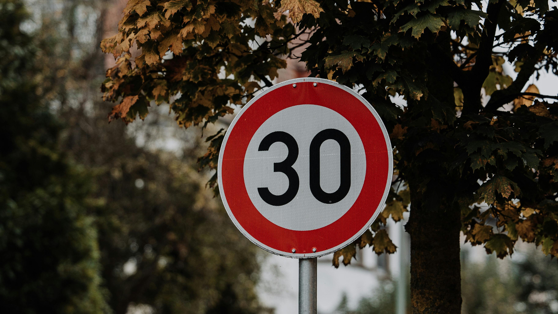 Ce analize merită să faci după 30 de ani